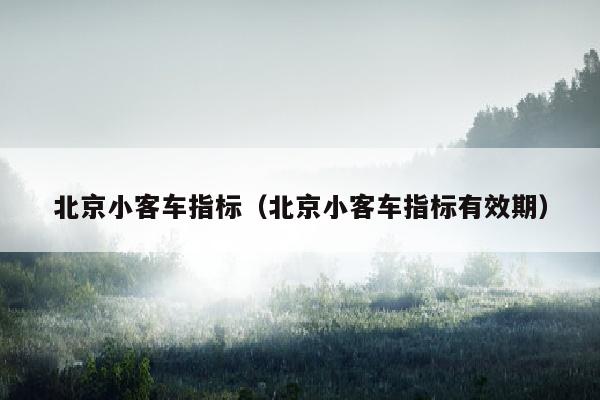 北京小客车指标（北京小客车指标有效期）